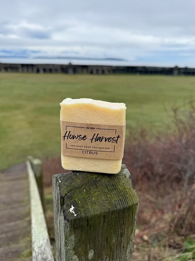 Handmade citrus soap bar on rustic wooden post outdoors